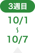 3週目