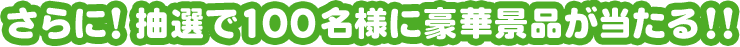 抽選で100名様に当たる豪華景品はコチラ！