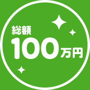 総額100万円