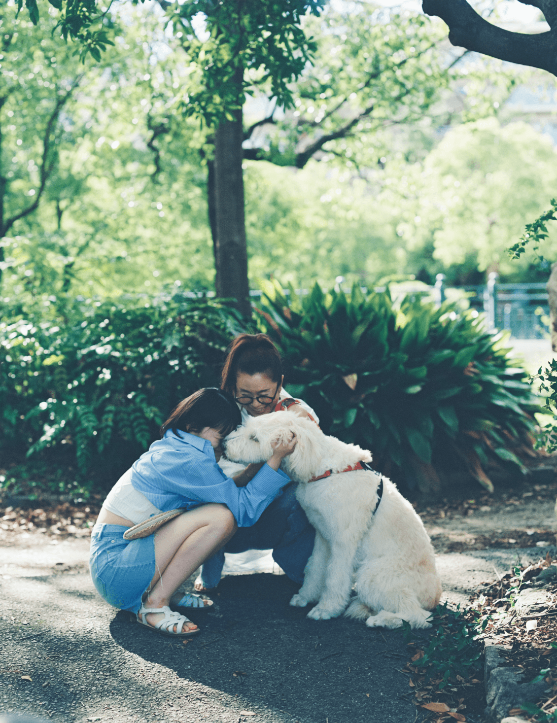 公園で愛犬と戯れる親子2人。