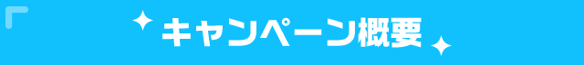 キャンペーン概要