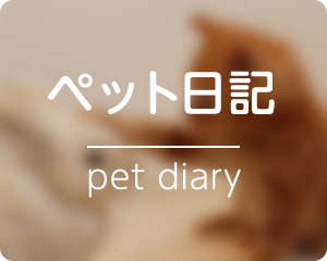 ペット日記 pet diary