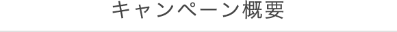 キャンペーン概要
