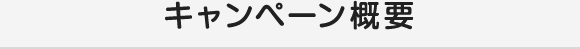 キャンペーン概要
