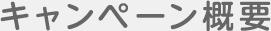 キャンペーン概要