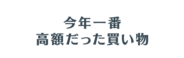 今年一番高額だった買い物