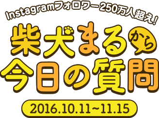 Instagramフォロワー250万人超え！柴犬まるから今日の質問（キャンペーン期間2016/10/11～11/15）