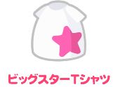 もらえるもの：ビッグスターTシャツ