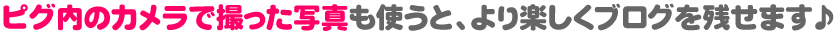 ピグ内のカメラで撮った写真も使うと、より楽しくブログを残せます♪