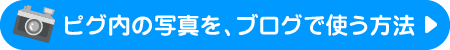 ピグ内の写真を、ブログで使う方法