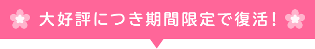 参加者全員に限定ブログデザインプレゼント！