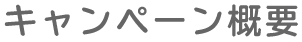 キャンペーン概要